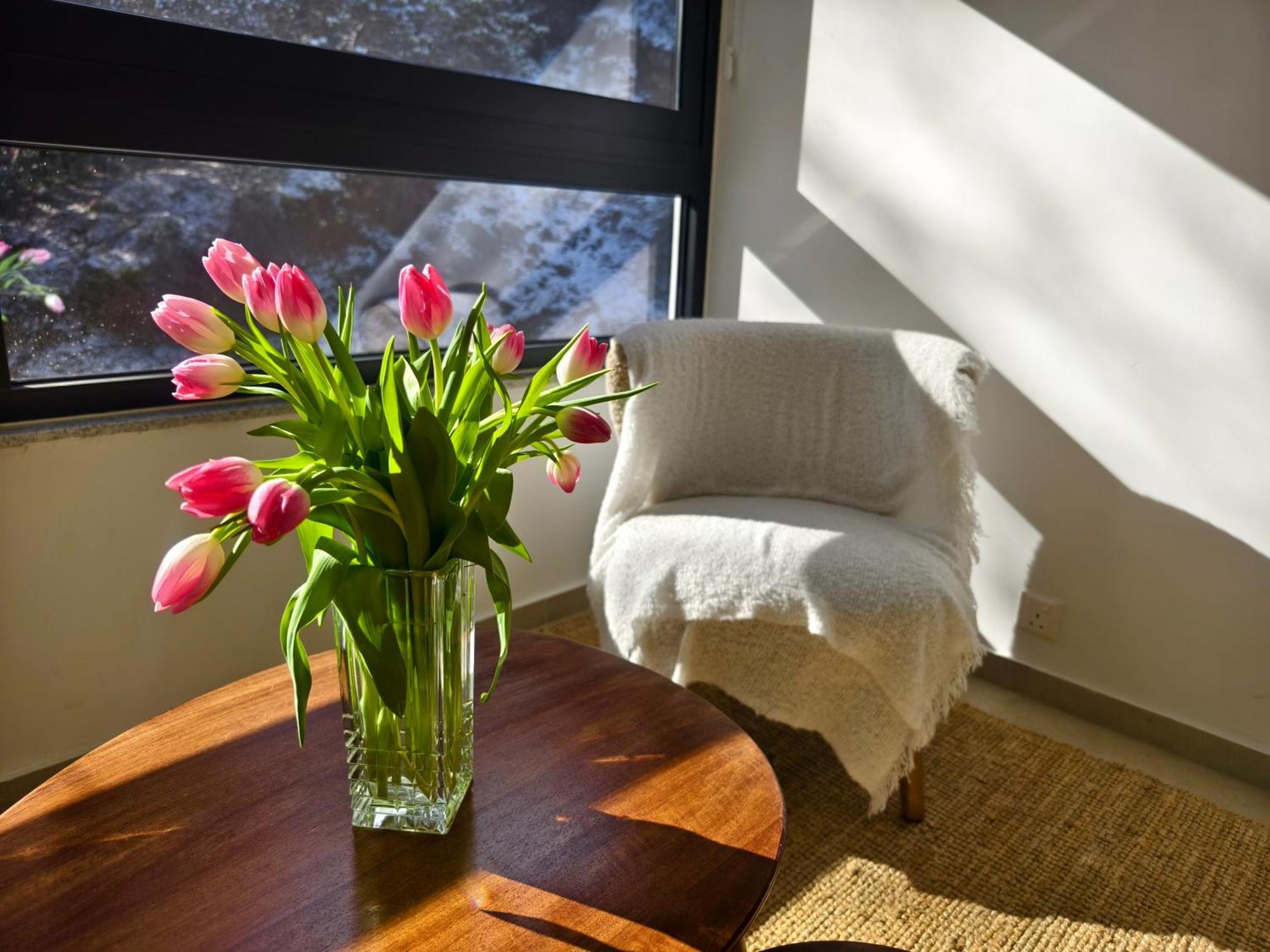 Rifugio Retreat Bed&Breakfast 카코페트리아 외부 사진